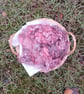 Rose Gotland Fleece - Image 2