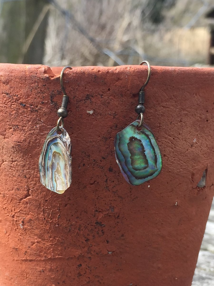 Paua shell earrings 