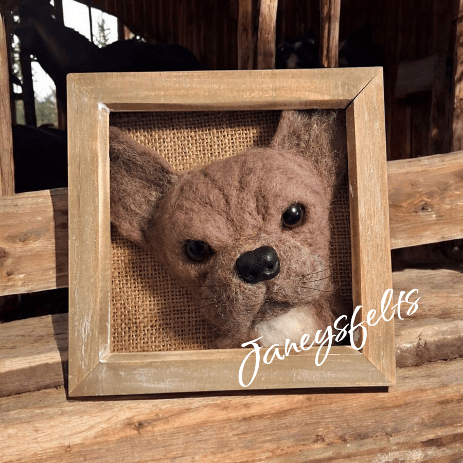 French Bulldog portrait 