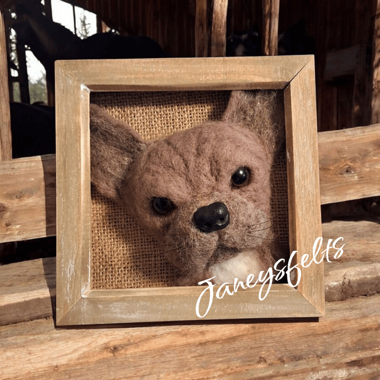 French Bulldog portrait 