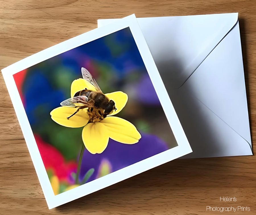Floral Bumble Bee Greetings Card, Nature Photography, Blank Inside, Square Card