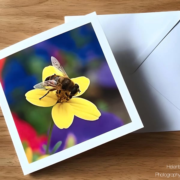 Floral Bumble Bee Greetings Card, Nature Photography, Blank Inside, Square Card