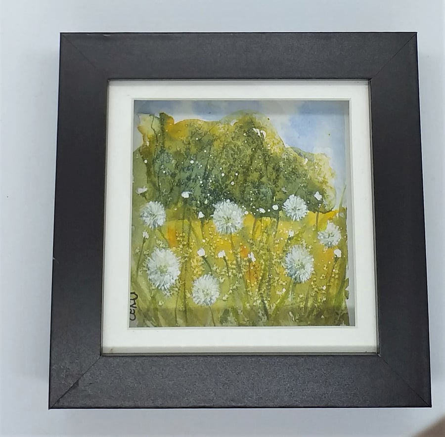 Framed watercolour painting of a summer dandelion meadow. . .