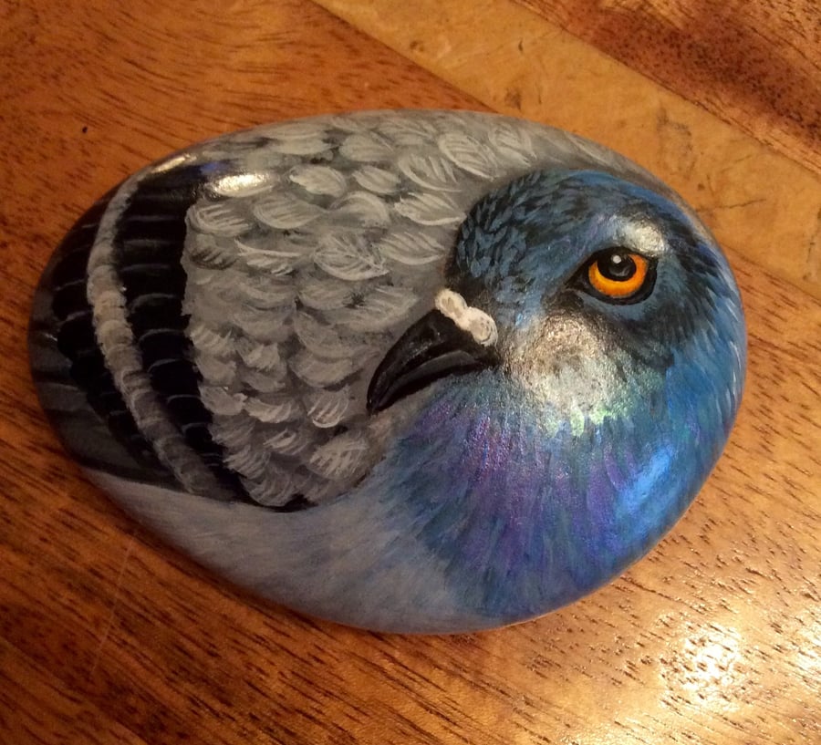 Pigeon hand painted on stone