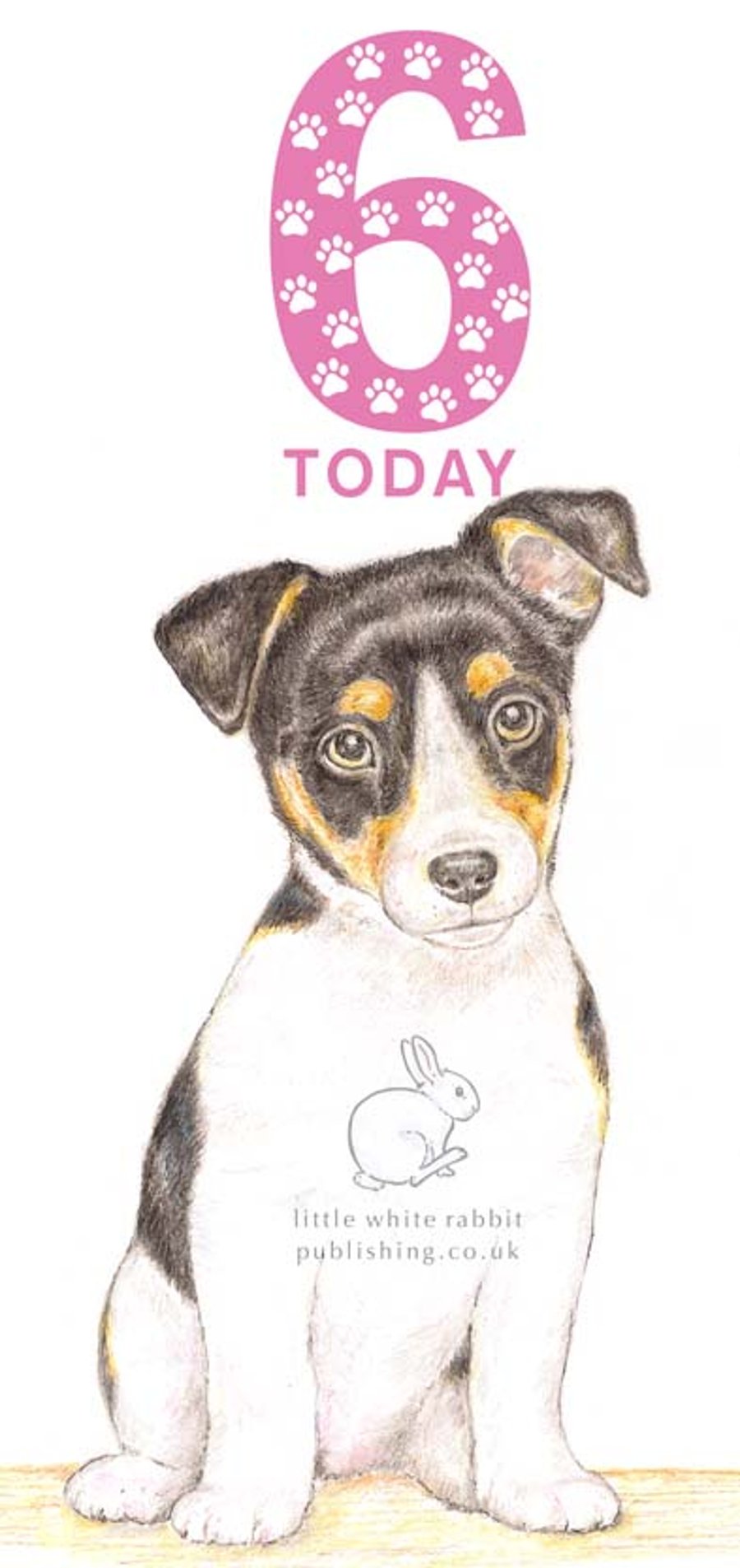 Jack the Jack Russell - 6 Today Card
