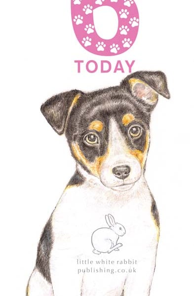 Jack the Jack Russell - 6 Today Card