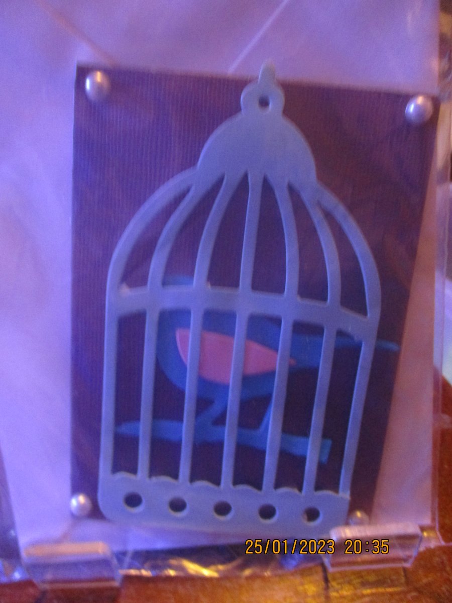 Bird in a Bird Cage Small Card