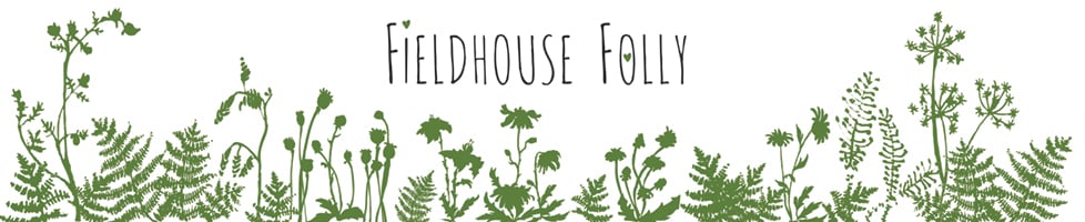 Fieldhouse Folly