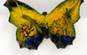 brooches