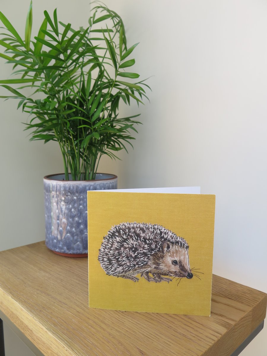 Hedgehog card, blank card, card for hedgehog and animal lovers