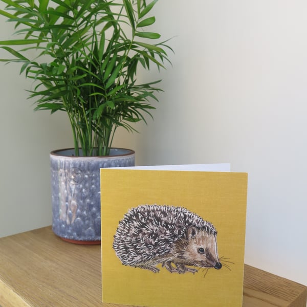 Hedgehog card, blank card, card for hedgehog and animal lovers