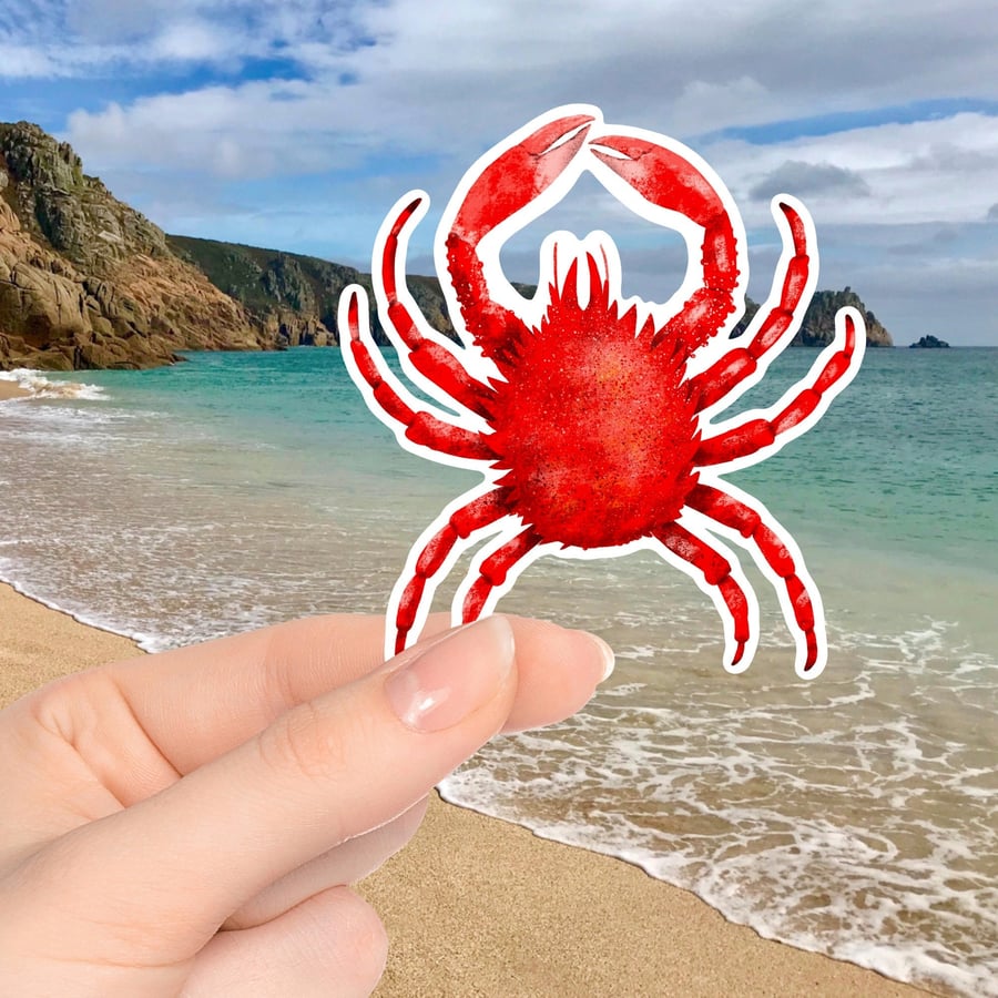 Cornish King Crab Sticker - Cornwall Gifts