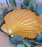Scallop Shell Trinket Dsh - Image 6
