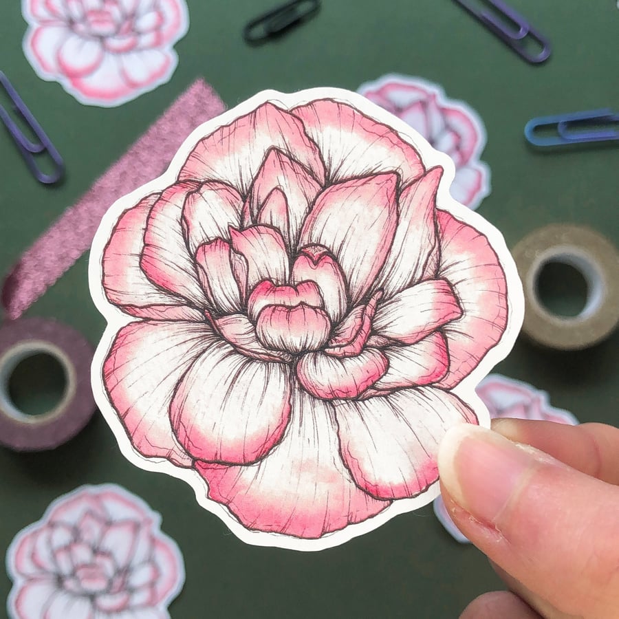 Carnation Sticker - Eco Friendly