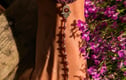 Anklets 
