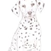 Dot the Dalmatian - Mother's Day Card