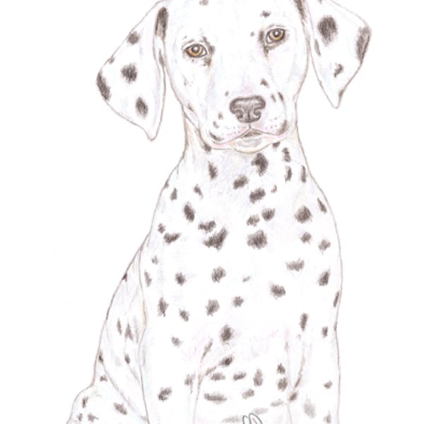 Dot the Dalmatian - Mother's Day Card