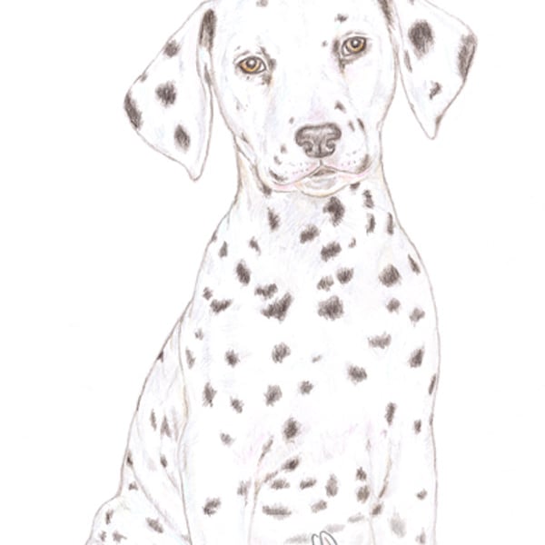 Dot the Dalmatian - Mother's Day Card