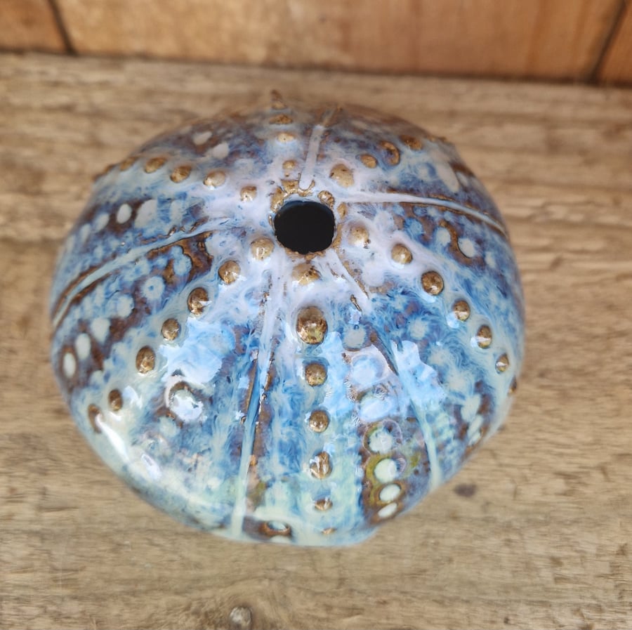 Image of Handmade Pottery Sea Urchin