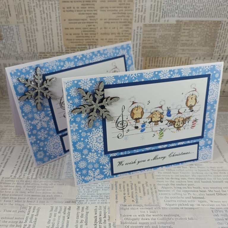 Pack of 2 Christmas cards - caroling owls