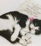 A4 Custom Pet Portrait made with Coloured Pencil - Image 2