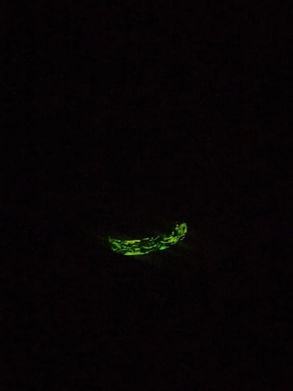 Resin ring glow in the dark lava effect