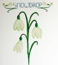 Snowdrop- British wild flower card - Image 4