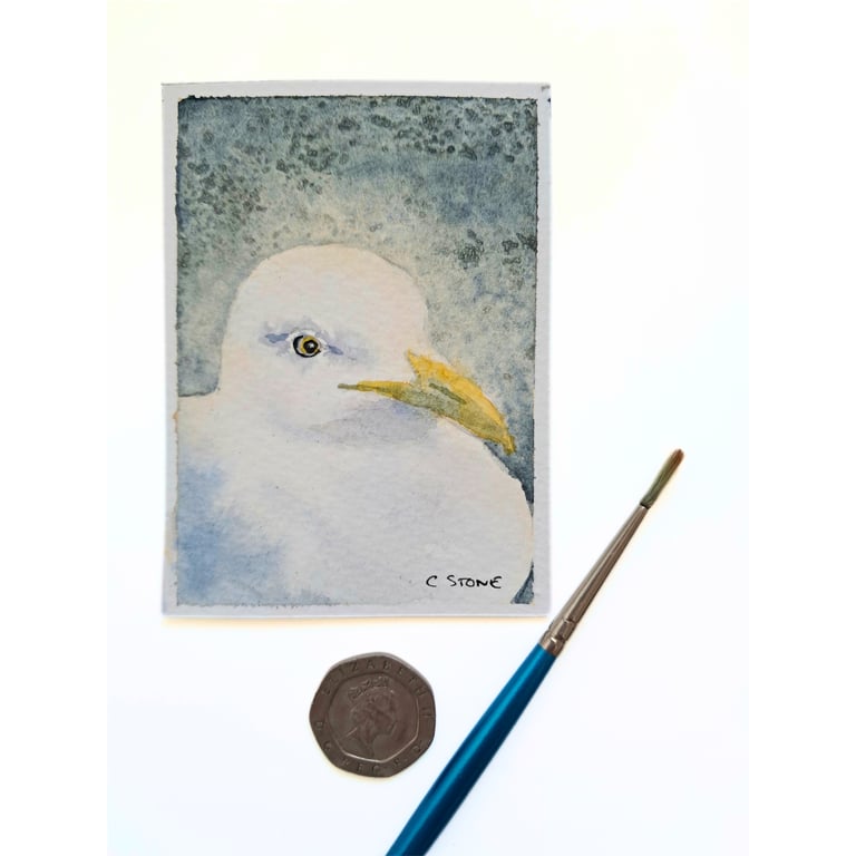 Original ACEO  Seagull Portrait Miniature Painting, Watercolour 
