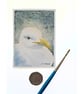 Original ACEO  Seagull Portrait Miniature Painting, Watercolour 