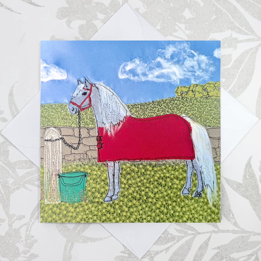 Birthday card - grey pony, grey horse