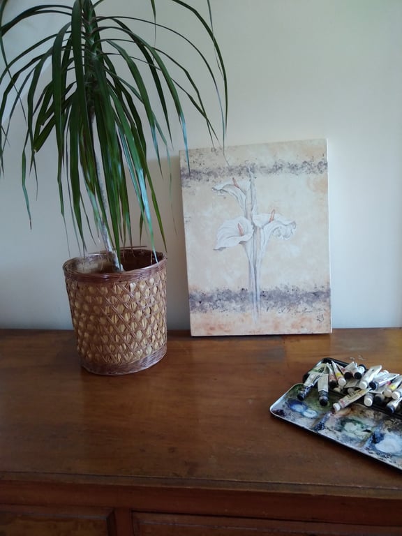 White calla lilies on cream watercolour background