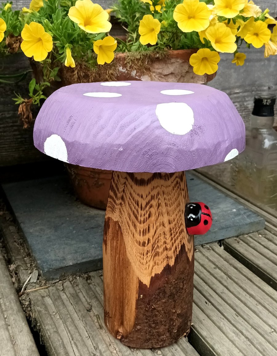 Purple spotty toadstool