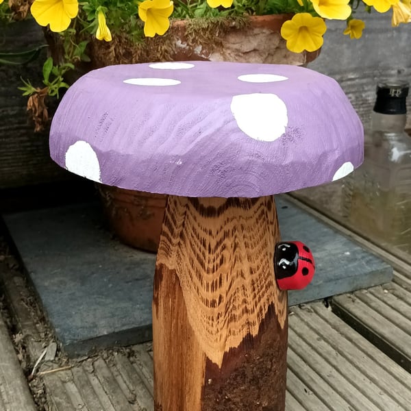Purple spotty toadstool