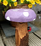Purple spotty toadstool