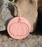 Giant Pumpkin Terracotta Essential Oil Diffuser - Natural Air Freshener