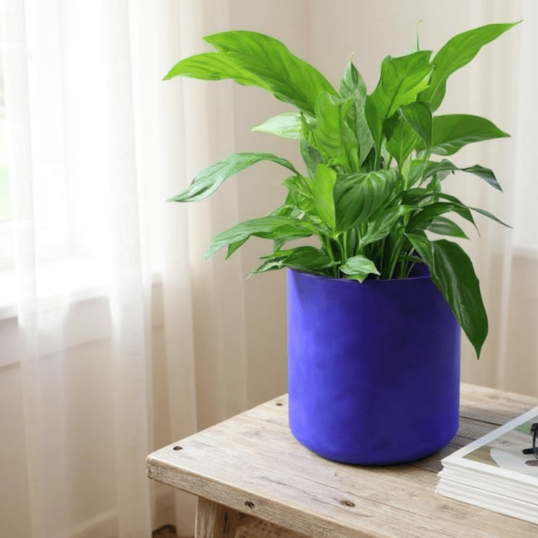 Extra Large Indigo Plant Pot - Unique Indoor or Outdoor Planter Violet Planter