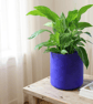 Extra Large Indigo Plant Pot - Unique Indoor or Outdoor Planter Violet Planter
