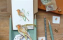 Gifts For Gardeners