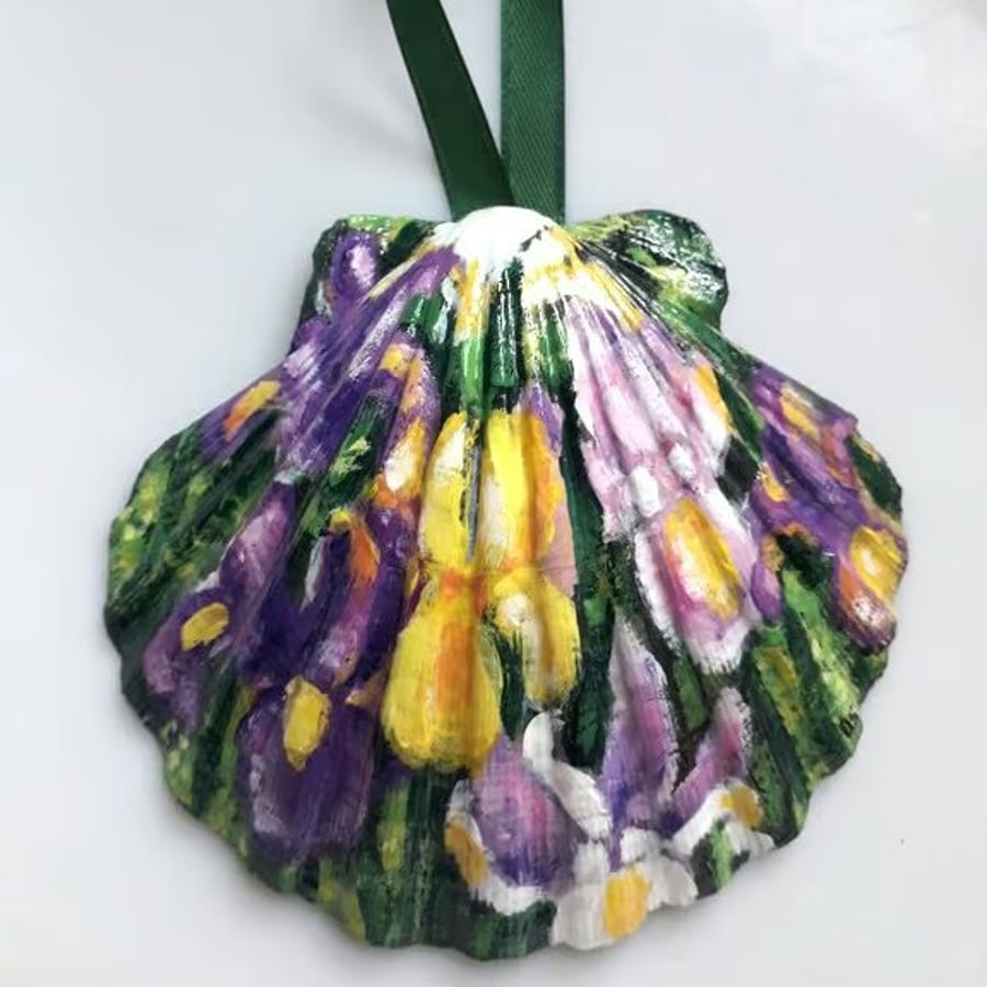 Handpainted "mixed Iris" king scallop shell Wall hanger 