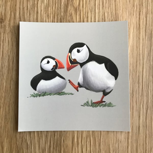 Puffins Square Post Card Print