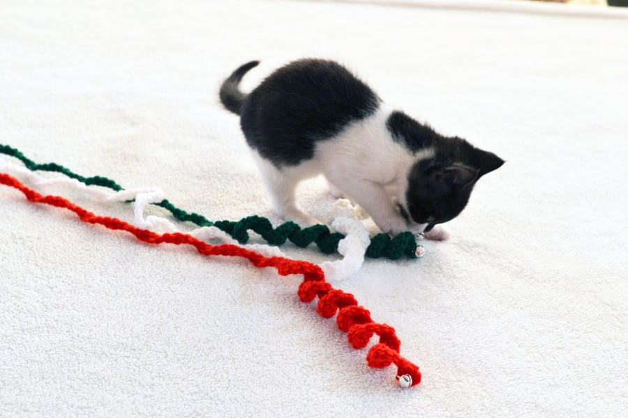 3 Kittens or Adult Cats Xmas Colours Cat Twist Toy