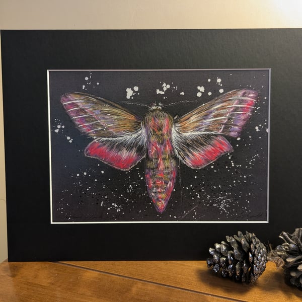 Elephant Hawk Moth, an A4 or A3 print of an original drawing