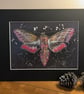 Elephant Hawk Moth, an A4 or A3 print of an original drawing