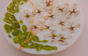 Fused Glass Botanicals