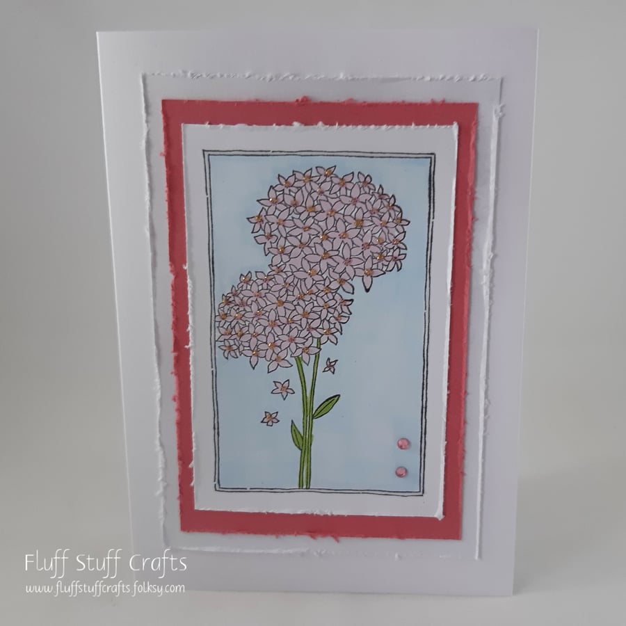 Blank, any occasion card - alliums 