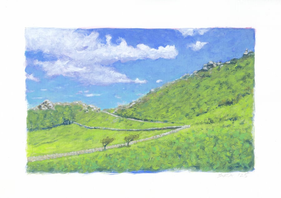 Late Spring, Valley of Rocks, Devon