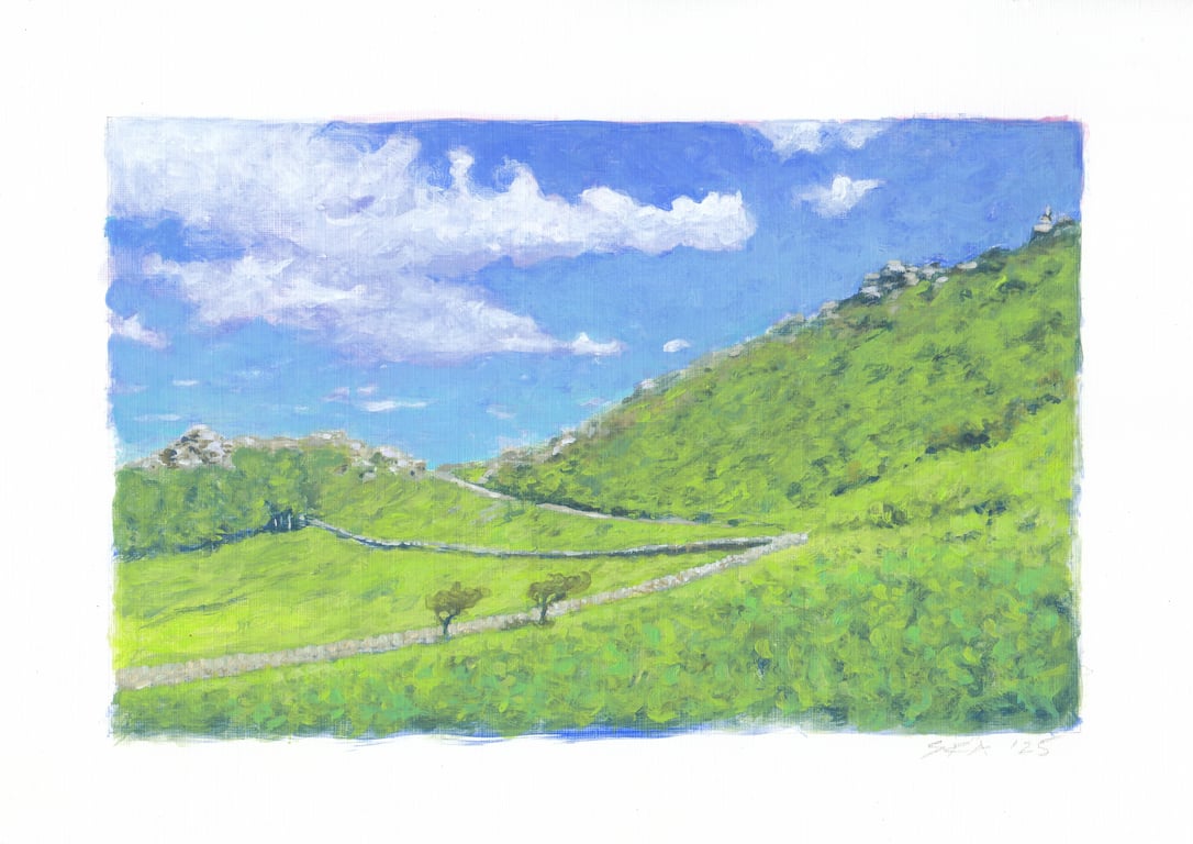 Late Spring, Valley of Rocks, Devon