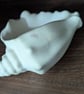 Echoes of the Earth - Shell Dish - Image 3