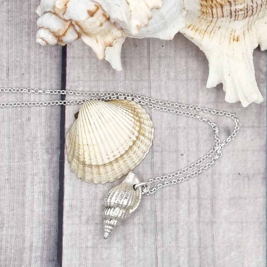 Real conch seashell preserved in silver, pendant necklace
