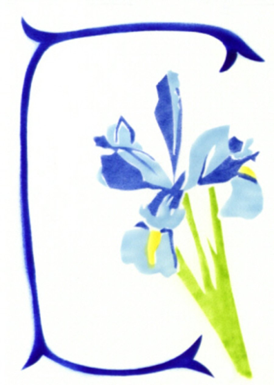 Iris botanical art card of a Blue flower